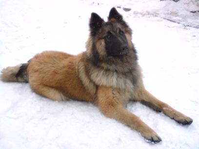 8.měsíc.